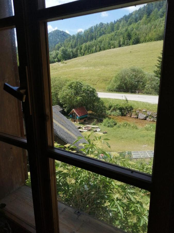 Apartment Nazbauerhof Rohr im Gebirge Экстерьер фото