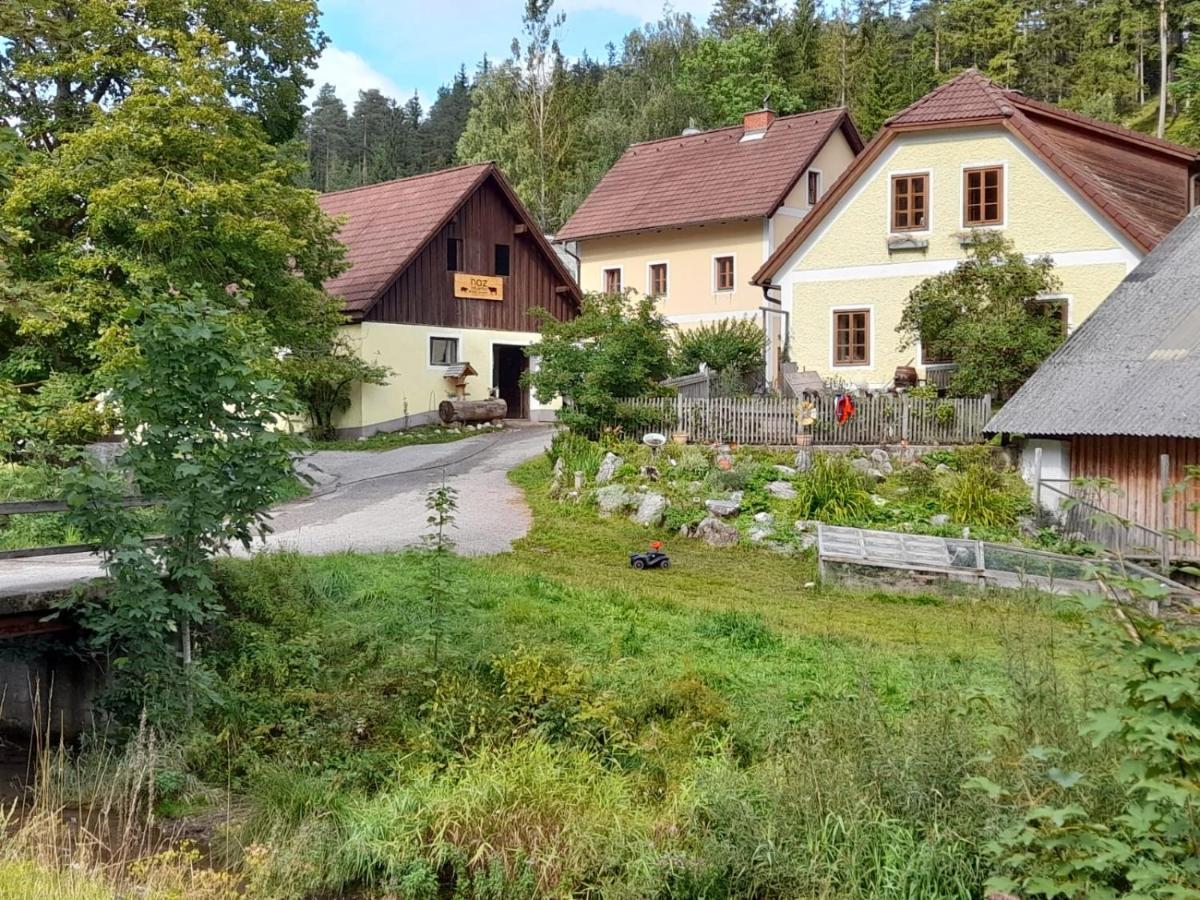 Apartment Nazbauerhof Rohr im Gebirge Экстерьер фото